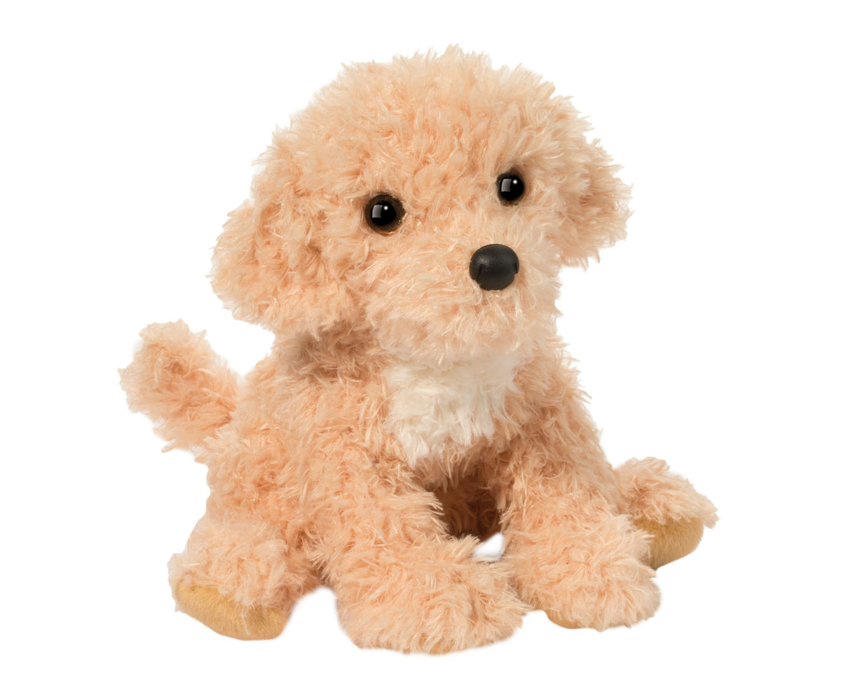 Douglas Noodle Golden Doodle