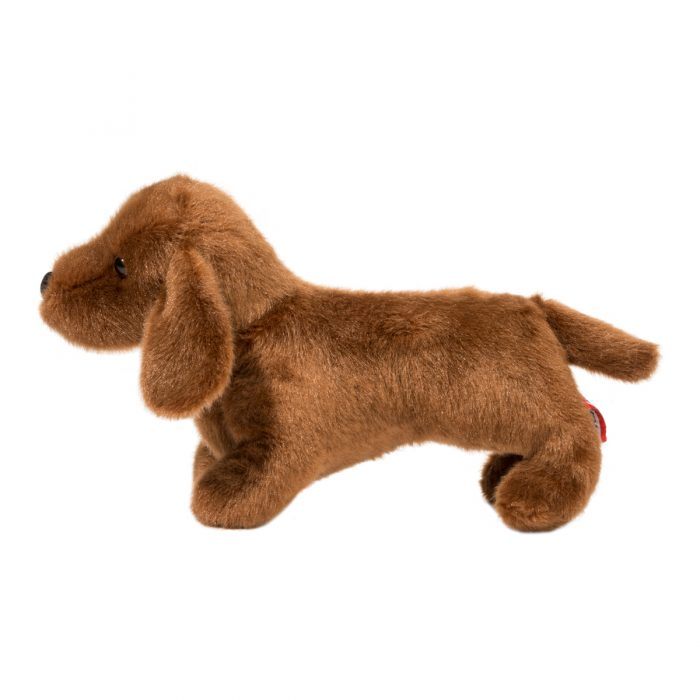 Douglas Dilly Dachshund