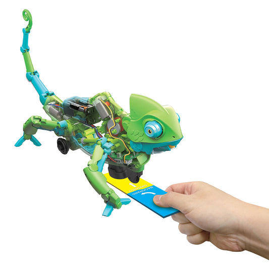 My Robotic Pet: Coding Chameleon