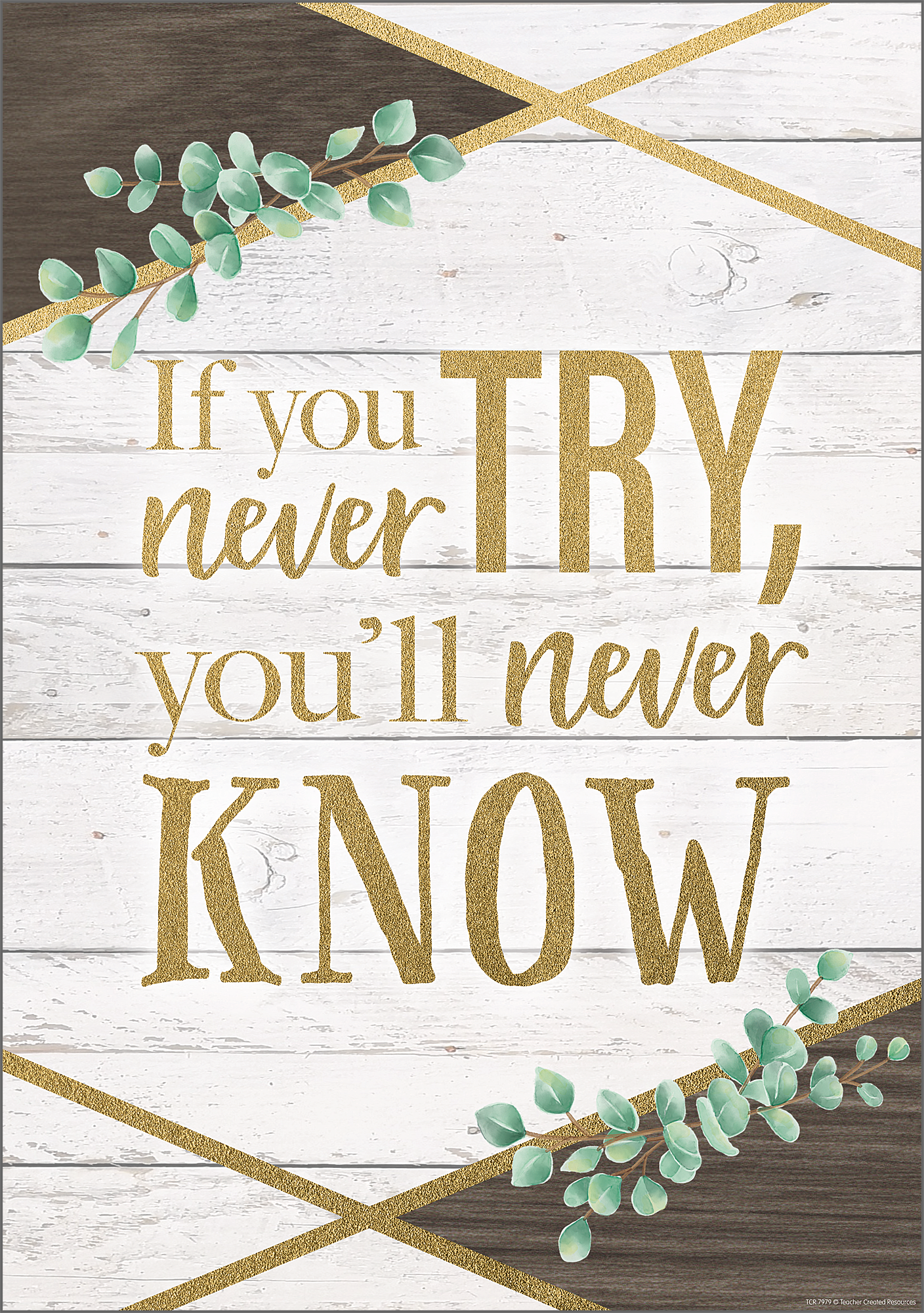 If You Never Try, You’ll Never Know Positive Poster