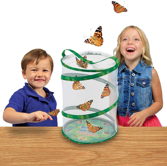 Butterfly Garden Growing Kit