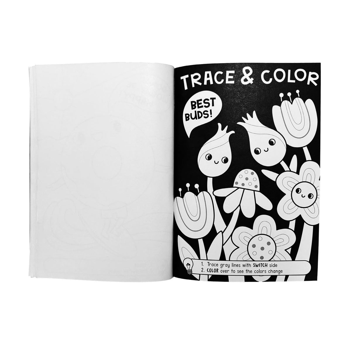 Switch-Eroo Color-Changing Activity Kit