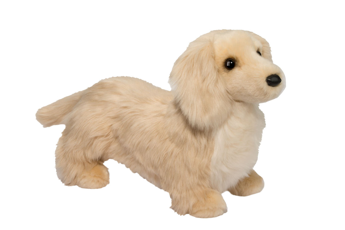 Douglas  Haisley Golden Dachshund