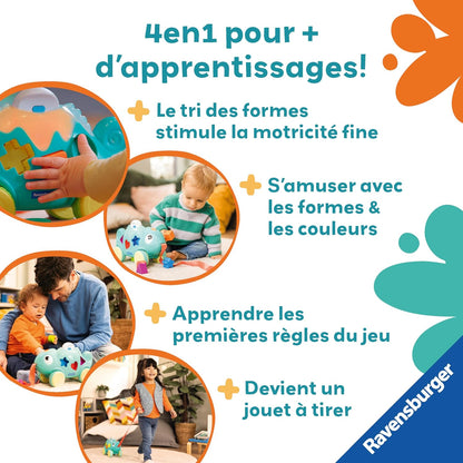 Chameleon Color & Shape Sorter