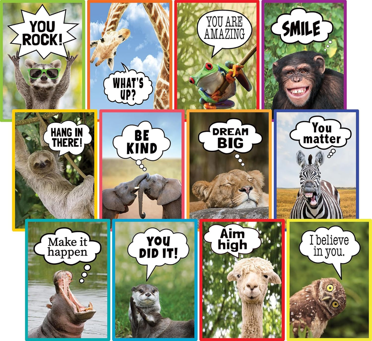 Go Wild Animals Small Poster Set