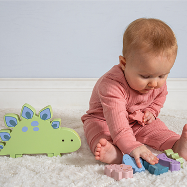 Mary Meyer Little Wood Dinosaur Blocks