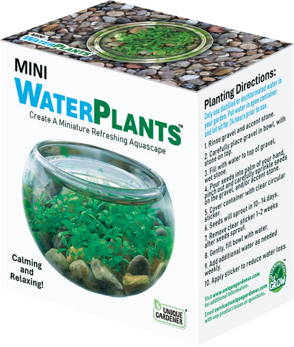 Mini WaterPlants - Create A Miniature Aquascape