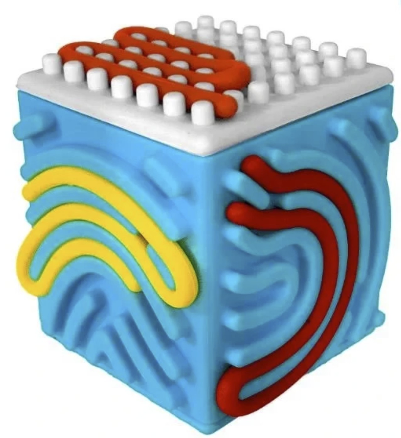 Silly Tube Cube