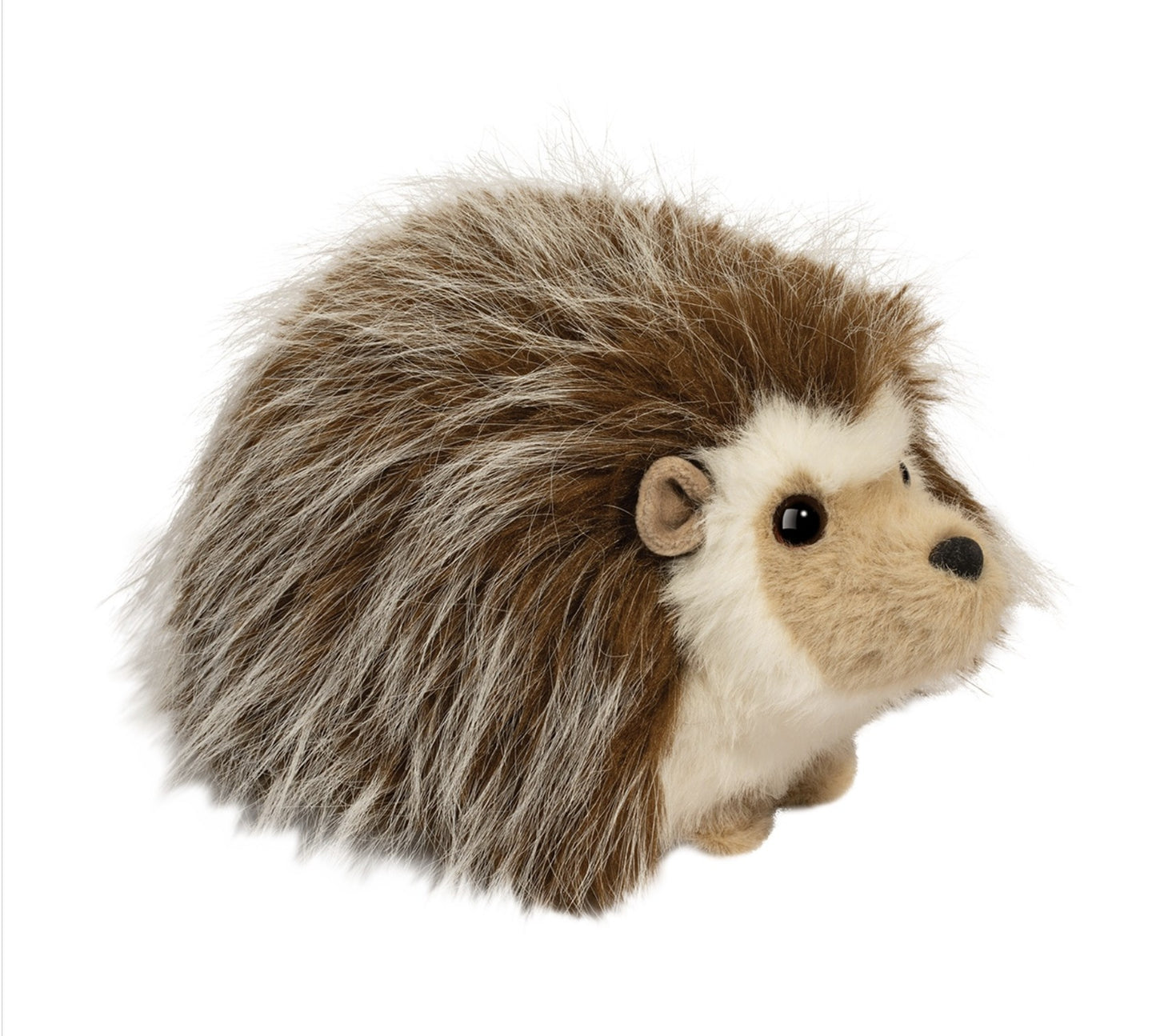Douglas Bristle Hedgehog