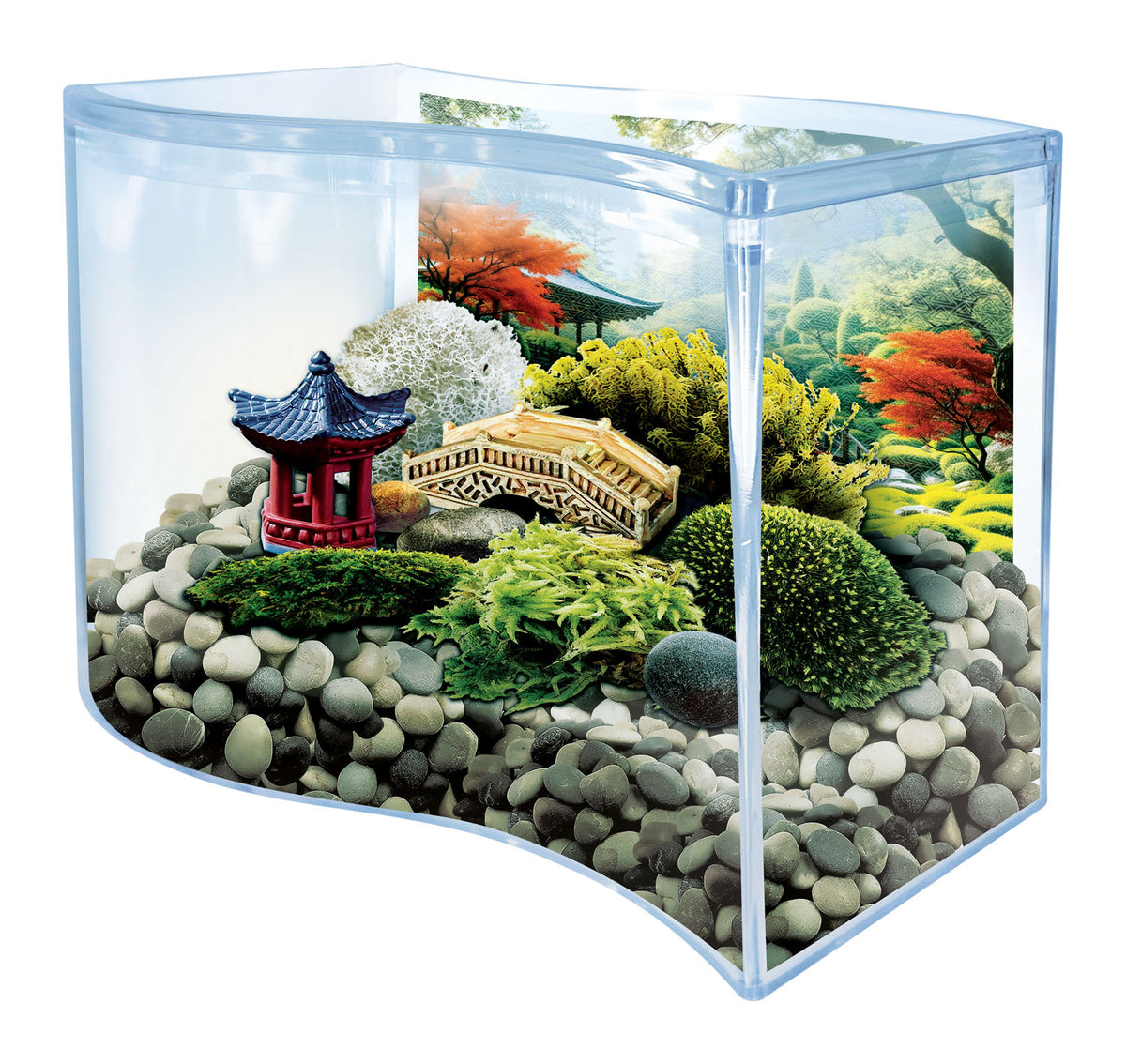 Bonsai Moss & Rock Garden Terrarium