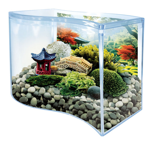 Bonsai Moss & Rock Garden Terrarium