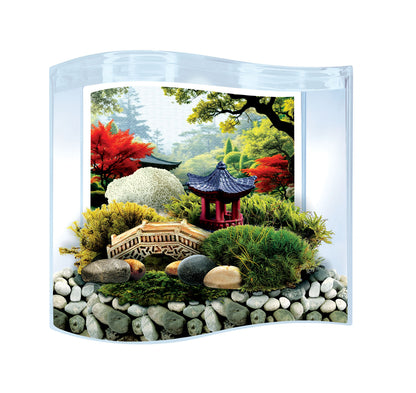 Bonsai Moss & Rock Garden Terrarium
