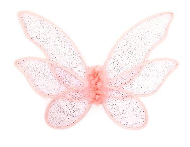 Little Adventures - Rose Garden Fairy Wings