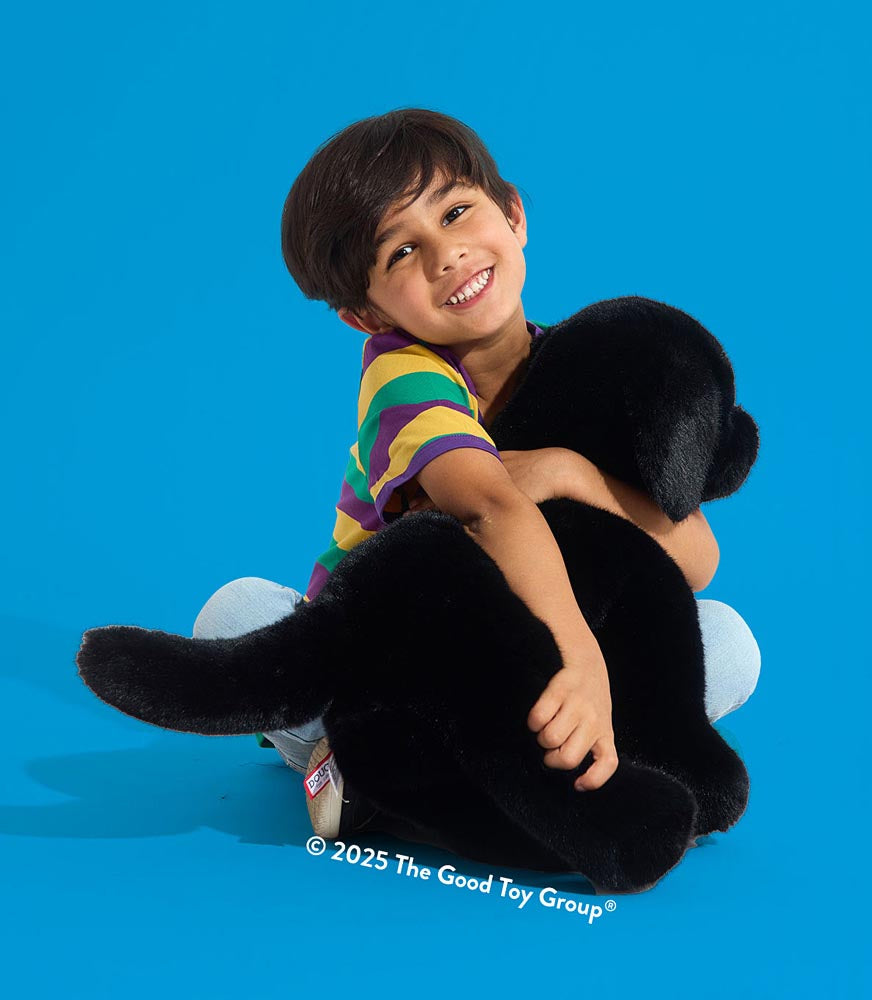 Spruce Black Lab – School Crossing & Toy Station
