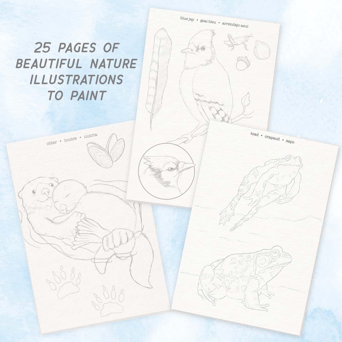 Watercolor Journal Fauna from Bright Stripes