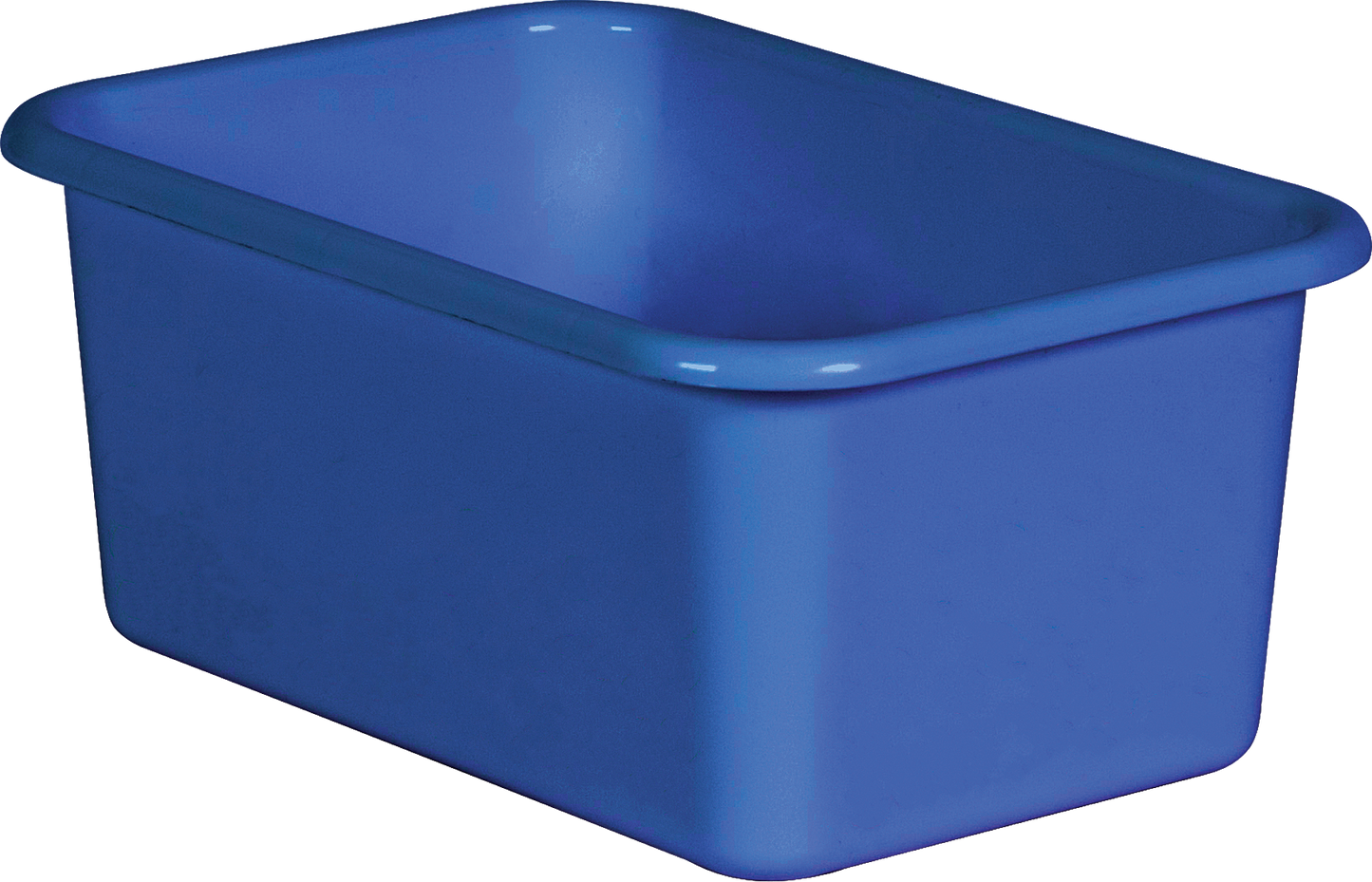 Blue Small Plastic Storage Bin