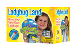 Ladybug Land with Voucher