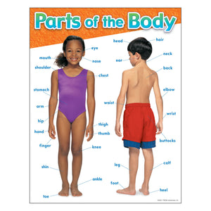 CHART PARTS OF THE BODY